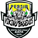 VIKING BAGEDOS